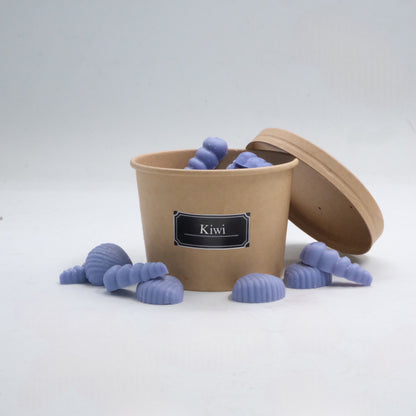 Ceara parfumata din soia, Handmade, Wax Melts | Summer Melts, Ediția de Vară